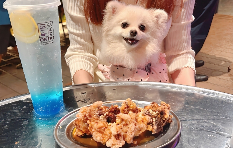 タッカンジョン（韓国風フライドチキン）とゆめちゃん