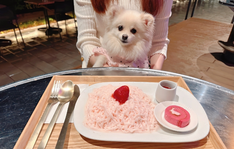 糸ピンスとゆめちゃん