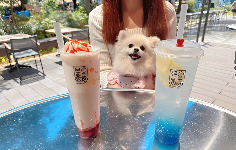 いちごラテとブルーレモンエードとゆめちゃん