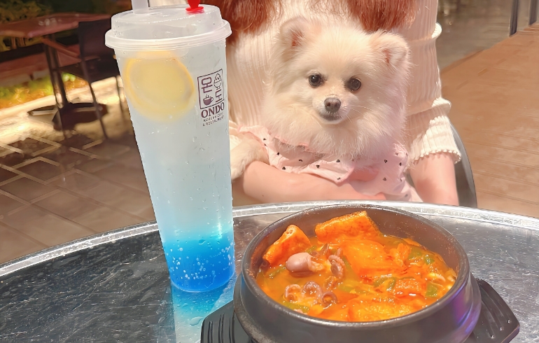 スンドゥブとゆめちゃん