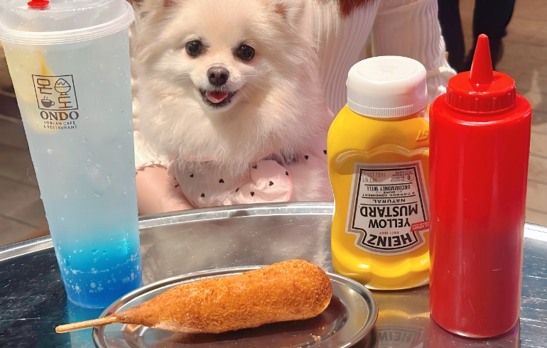 チーズハットグとゆめちゃん