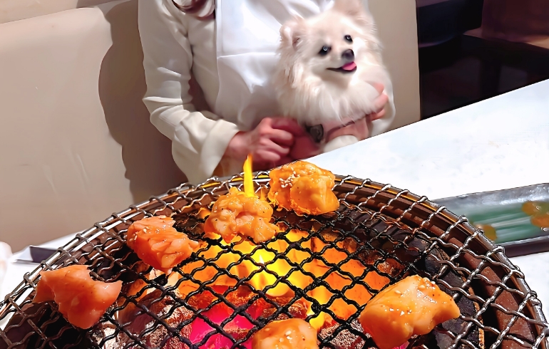 ホルモン炭焼き2
