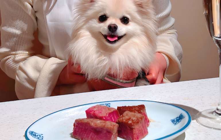 シャトーブリアン（焼き）