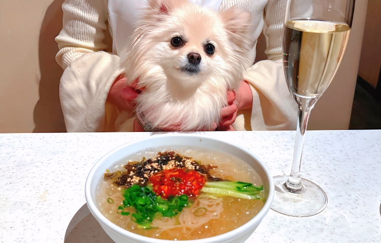 冷麺
