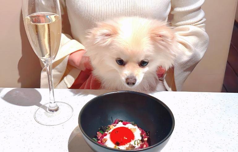 ユッケとゆめちゃん覗き見