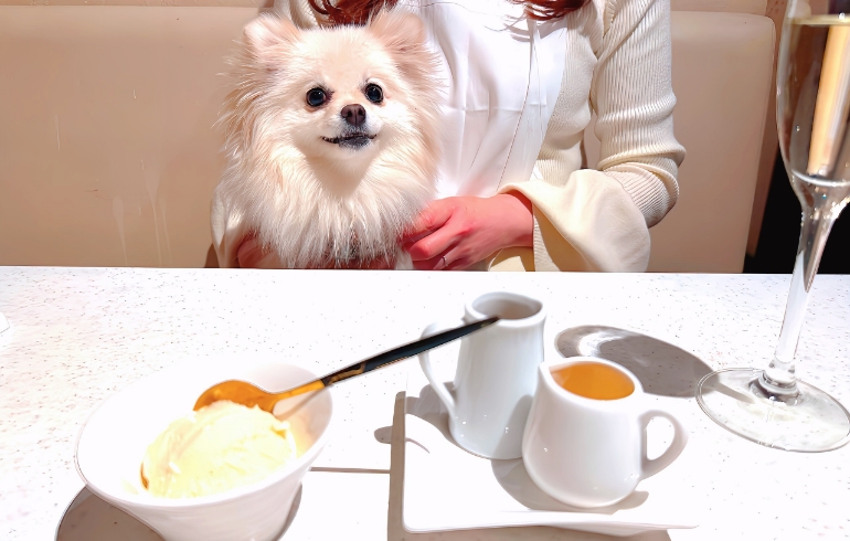 ジンセン