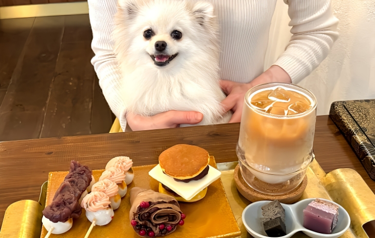 「寿-kotobuki tokyo-」のメイン画像です。