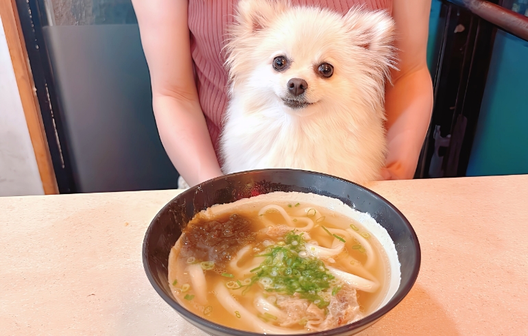 かすうどん