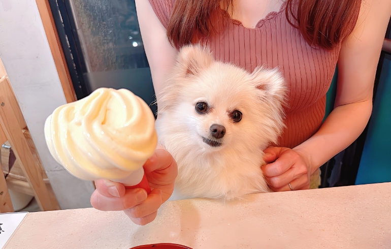 ソフトクリーム