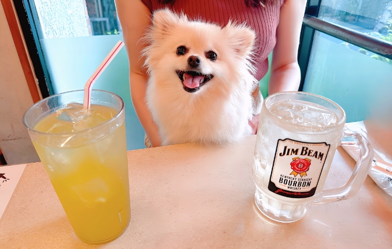 ドリンク・お酒