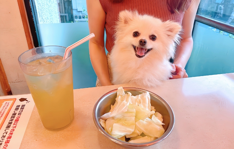 お通しのキャベツ