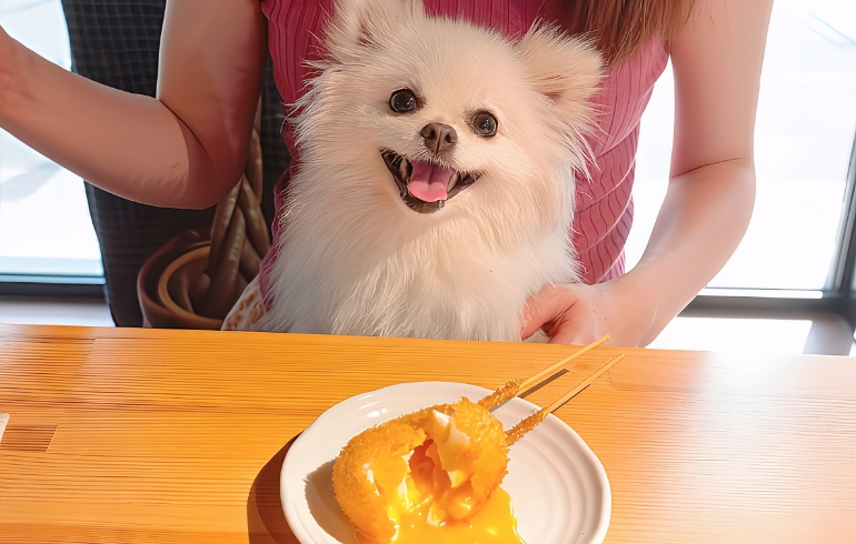 串かつ半熟たまごとゆめちゃん
