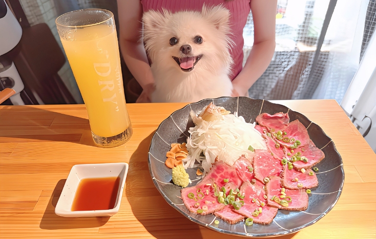 近江牛のたたきとゆめちゃん
