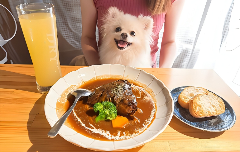 豚肩ロースの赤ワイン煮込みとゆめちゃん