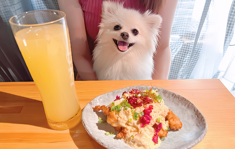 チキン南蛮とゆめちゃん