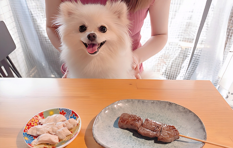 「ささみのボイル」や​自慢の「近江牛の串焼き（味付けなし）」とゆめちゃん