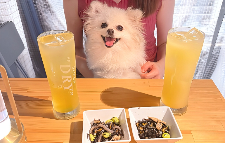 ドリンクとお通しとゆめちゃん