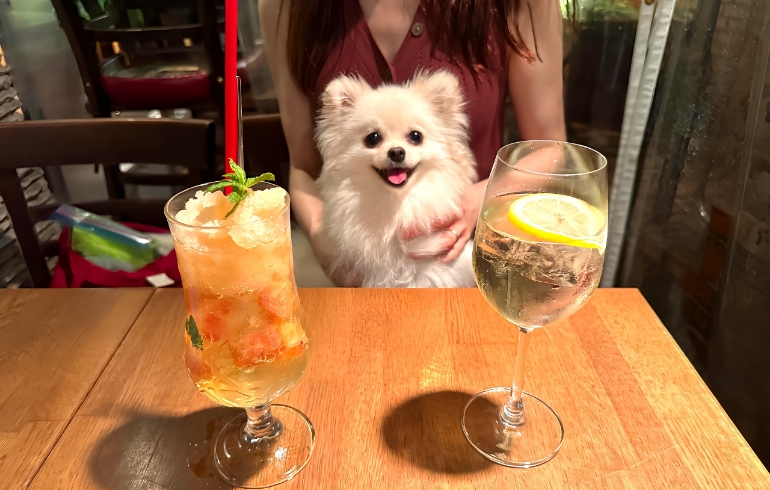 ドリンク