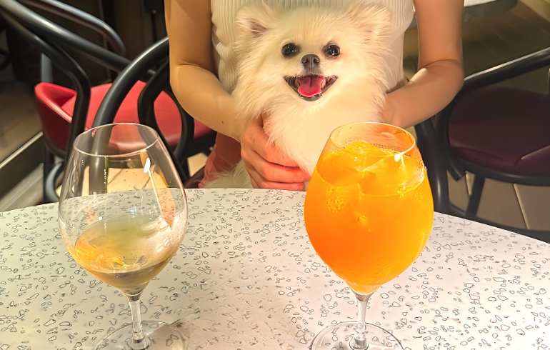 ドリンク