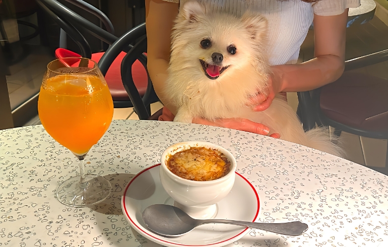 LE BISTRO（ル ビストロ）