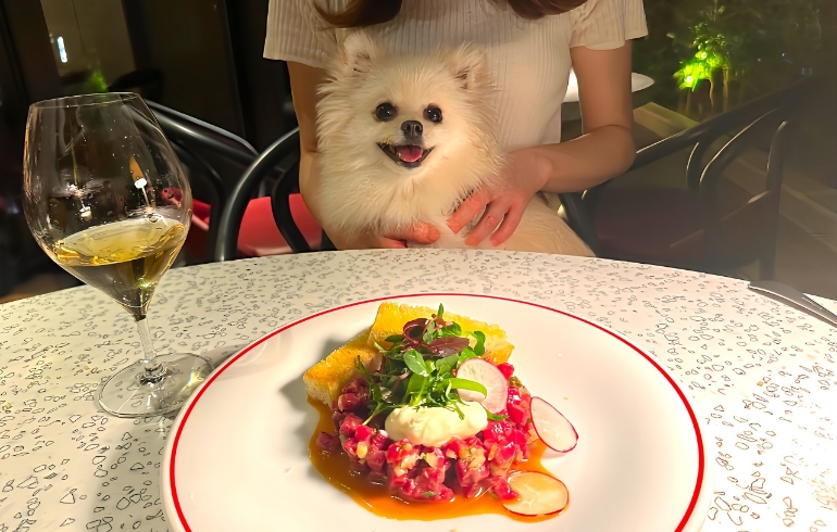 「LE BISTRO（ル ビストロ）」のメイン画像です。