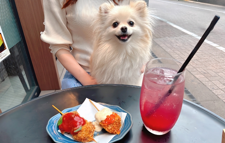 豚肩肉の大葉サルサソースとサーモンといくらのタルタルとゆめちゃん