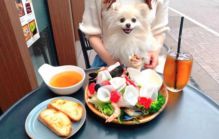 海と畑の恵みフレッシュフルーツ＆サラダプレートとゆめちゃん