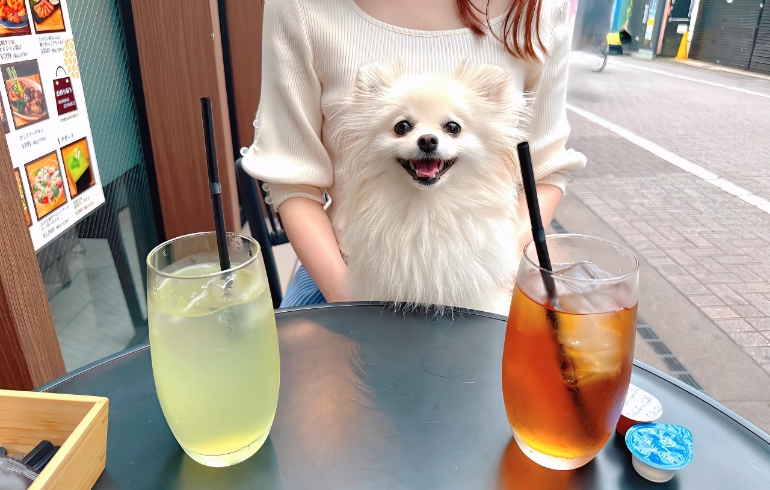 セットのドリンク