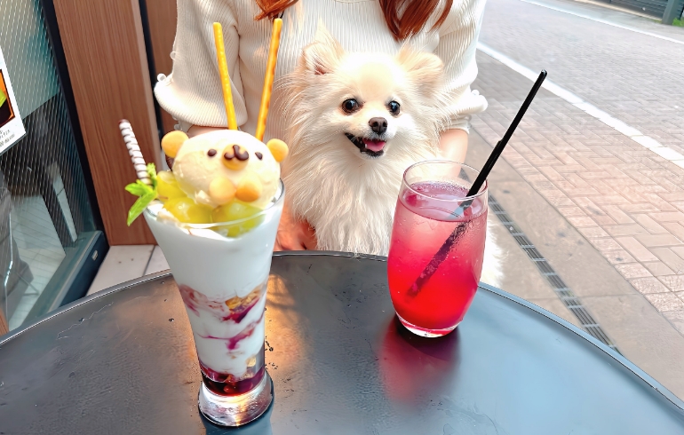 くまさんパフェとゆめちゃん