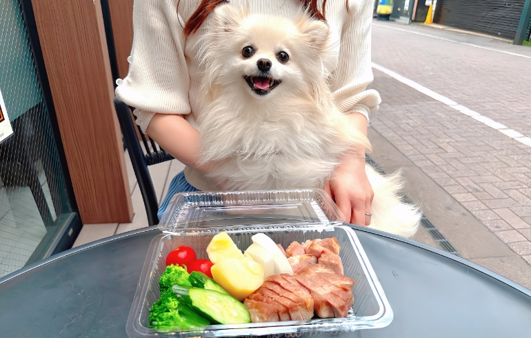 ワンちゃん用のごはん