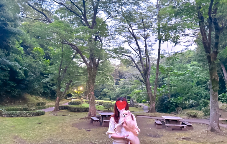 自然豊かな公園1