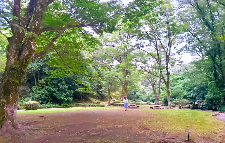 自然豊かな公園2