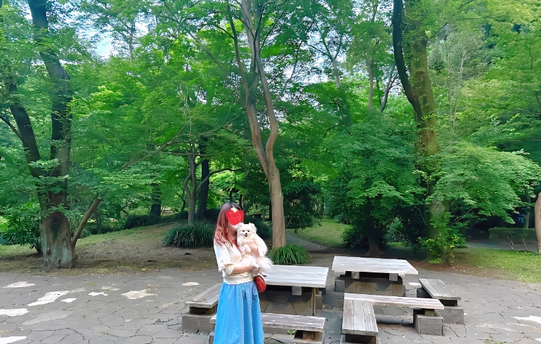 自然豊かな公園4
