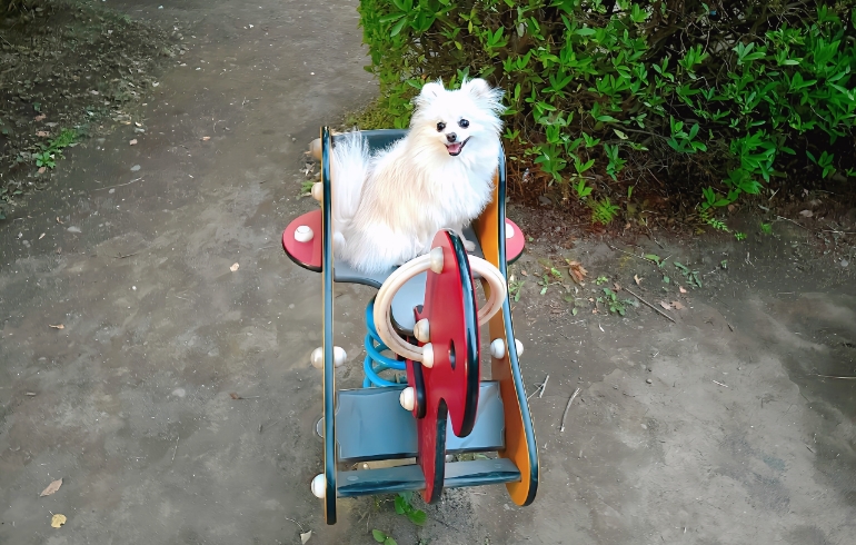 自然豊かな公園5