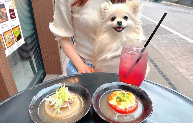 鶏フォアグラ大根とチーズトマトグラタンとゆめちゃん