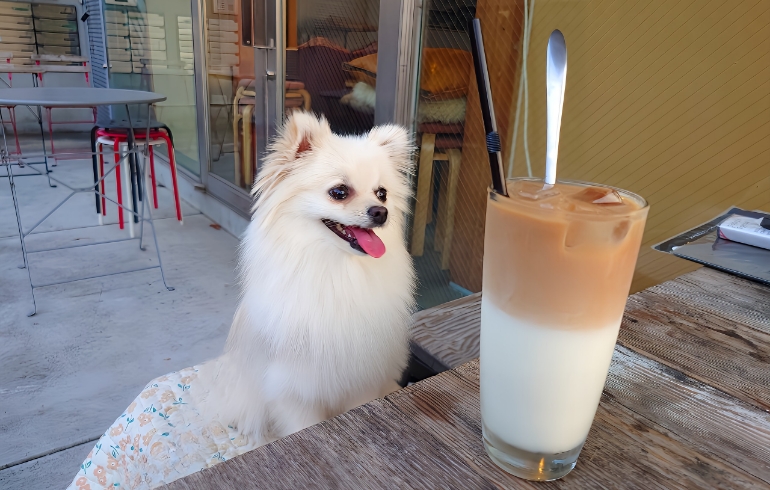 ドリンク2