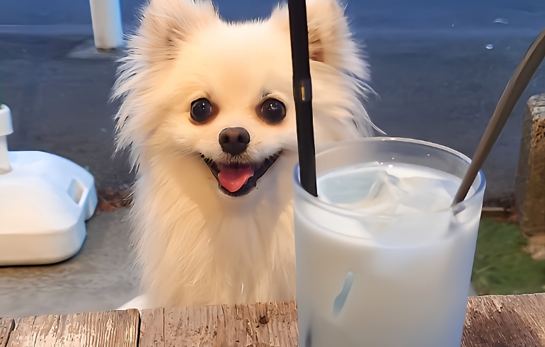 ドリンク3