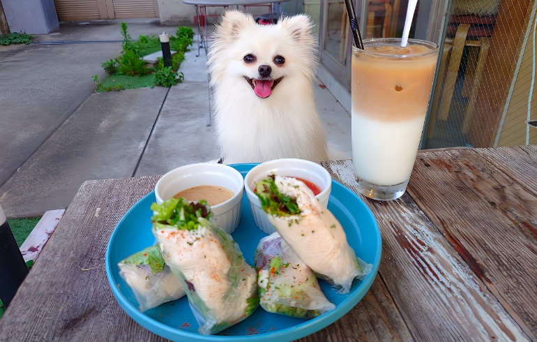 生春巻き