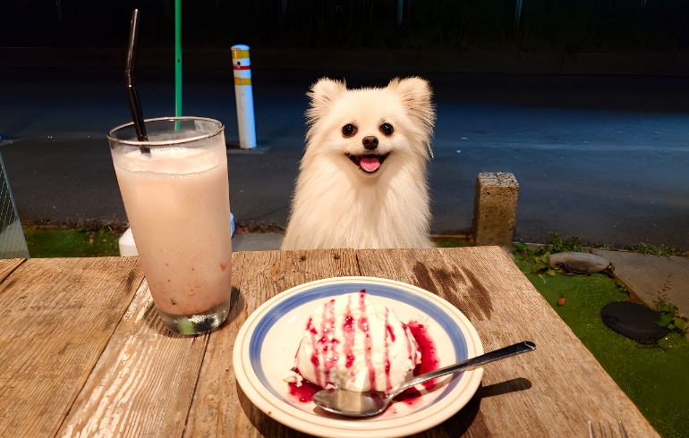 チーズケーキ