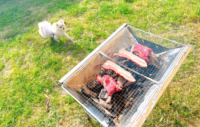 お肉焼き中
