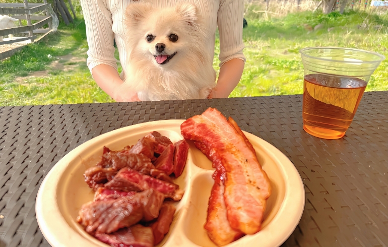 焼肉（ステーキとベーコン）