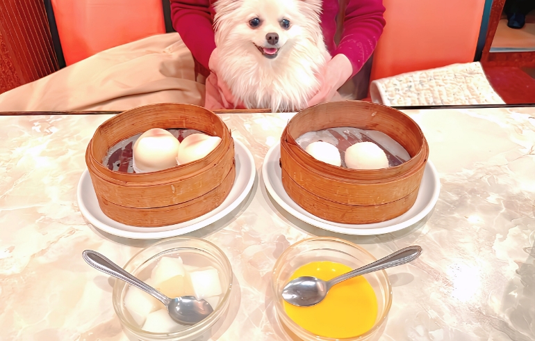 料理一覧6