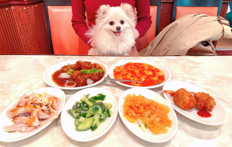 料理一覧1