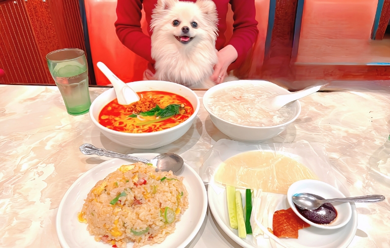 料理一覧2