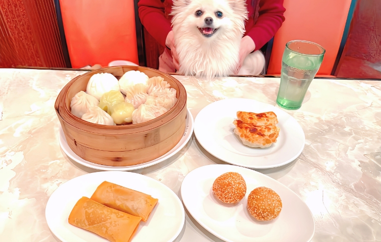 料理一覧4