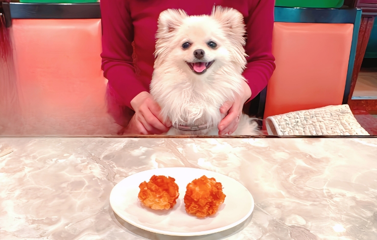 料理一覧5