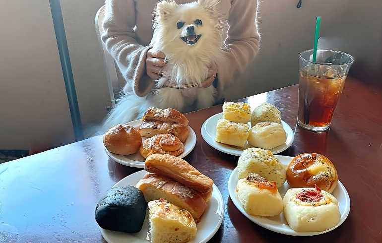 パン盛り合わせ