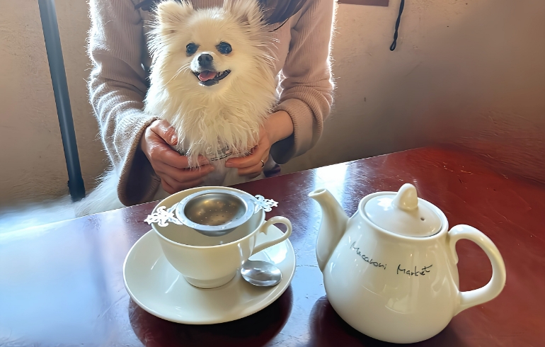 ドリンク
