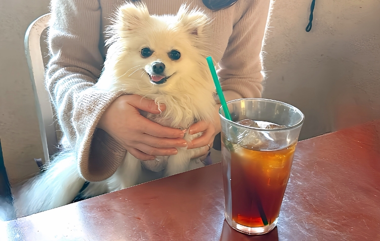 アイスティー