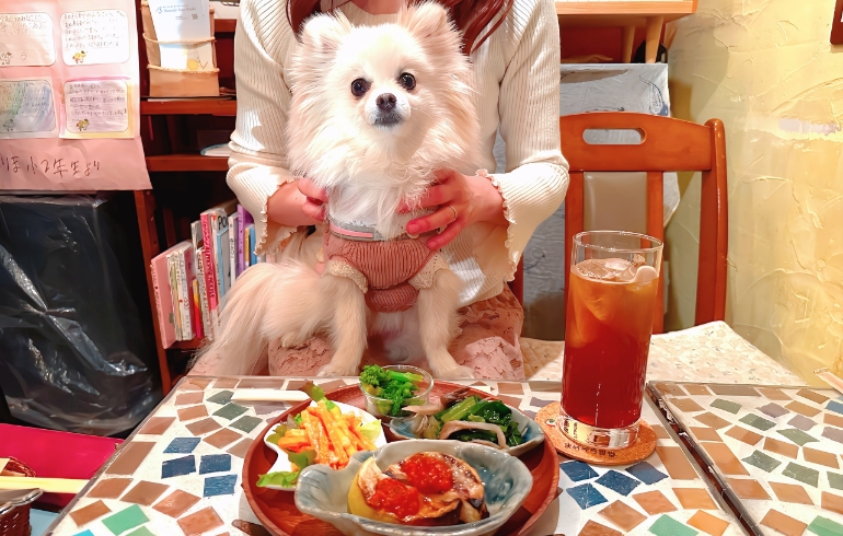 小鉢の盛り合わせとゆめちゃん